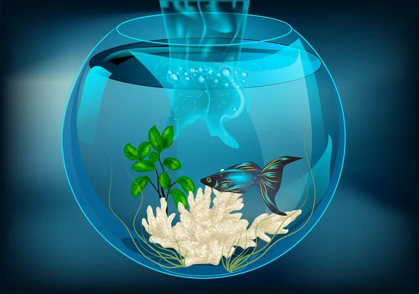 Aquarium mit Fischen — Stockvektor