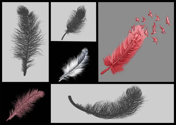 Набор абстрактных перьев — стоковый вектор