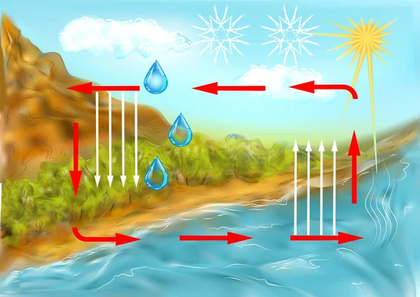 Vodní cyklus — Stockový vektor