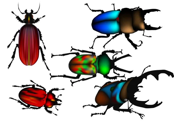 Skalbaggar på vit — Stock vektor