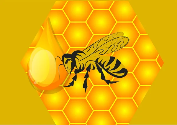 Honing, bijen en honingraat — Stockvector