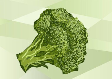 Yeşil üzerine brokoli. Brokoli soyut illüstrasyon. Sağlıklı ekolojik yeşil gıda