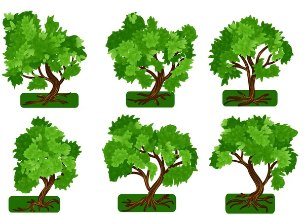 Zestaw Drzew Wektorowych Izolowanych Białym Tle — Wektor stockowy