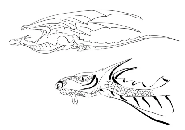 Kepala Naga Dan Naga Terisolasi Pada Latar Belakang Putih - Stok Vektor