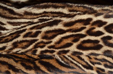 leopar kürkü doku