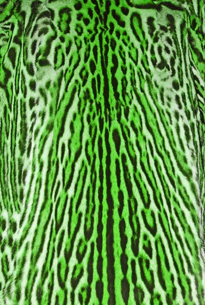 Leopard fur texture — Stock Photo, Image