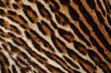 leopar kürkü doku