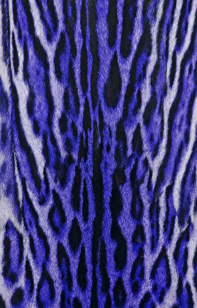 Textura de fondo de leopardo — Foto de Stock