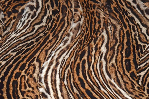 Leopardenhaut Hintergrund Textur — Stockfoto