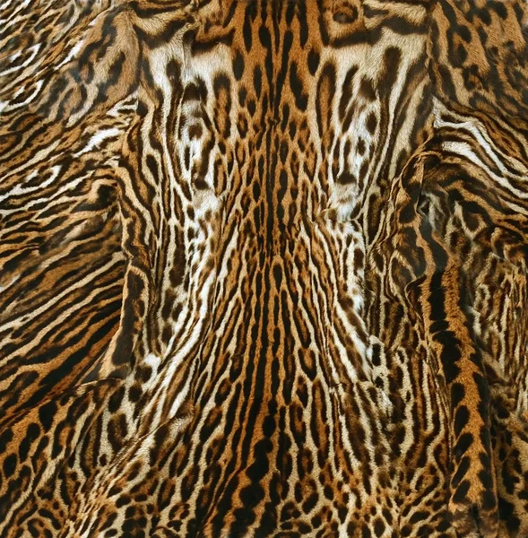 Pelle Leopardo Sfondo Texture — Foto Stock