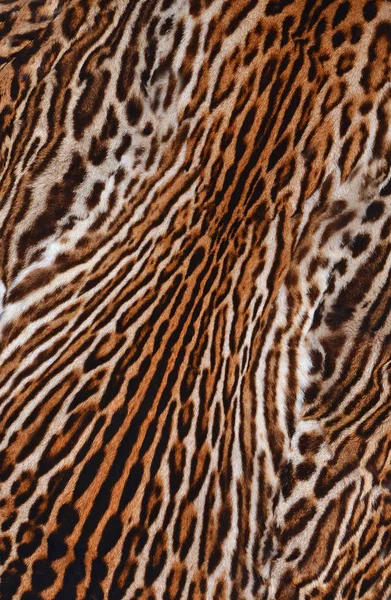 Leopardenhaut Hintergrund Textur — Stockfoto