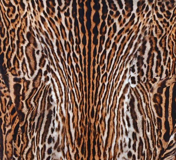 ヒョウの肌の質感の背景 — ストック写真