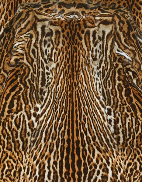 Piel Leopardo Textura Fondo — Foto de Stock