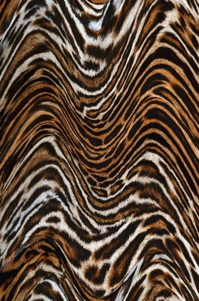 Leopard Skin Background Texture — Stock Photo, Image