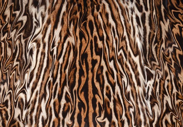 抽象猫毛皮背景 — 图库照片