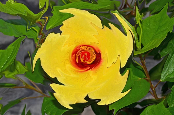 Yellow Hibiscus Flower Reflected Water — Stock Photo, Image