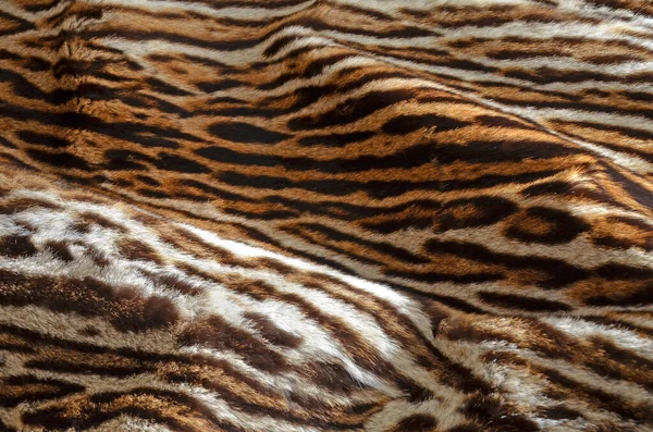 Feline Fur Background Texture — Stock Photo, Image