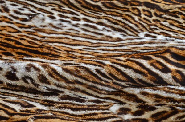 Leopard Fur Background Texture — Stock Photo, Image