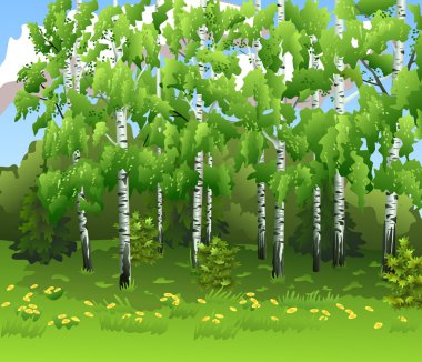 Bahar huş ağaçları