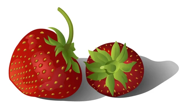 Zwei Erdbeeren Isoliert Auf Weißem Hintergrund — Stockvektor