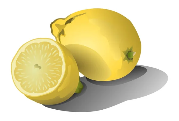 Två Citroner Isolerad Vit Bakgrund — Stock vektor