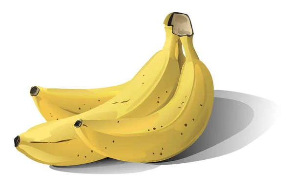 Tre Banane Isolate Fondo Bianco — Vettoriale Stock