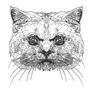 Kediler kafa. Stilize kedi