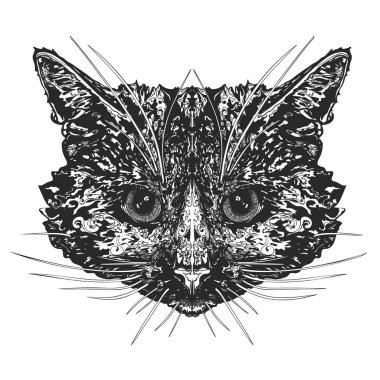 Kediler kafa. Stilize kedi