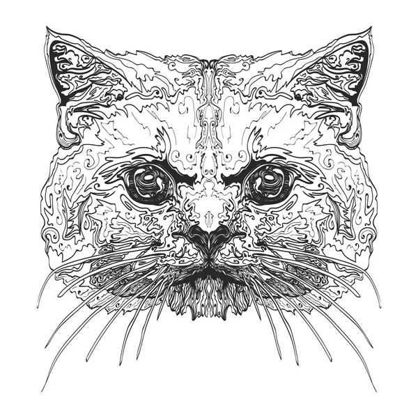 Kediler kafa. Stilize kedi