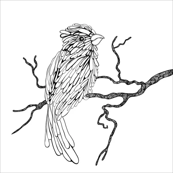 Bird on a branch. — Stock Vector