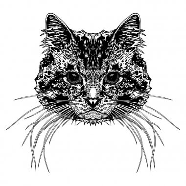 Kedinin kafasına. Stilize vektör çizim