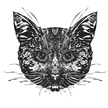Kedinin kafasına. Stilize vektör çizim