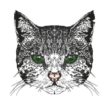 Kedinin kafasına. Vektör çizim.