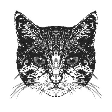 Kedinin kafasına. Vektör çizim.