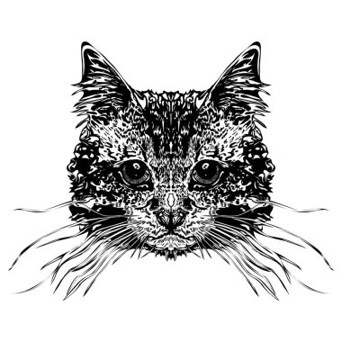 Kedinin kafasına. Stilize vektör çizim