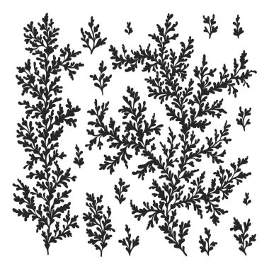 Tasarım için doğal vektör öğeleri el çekilmiş