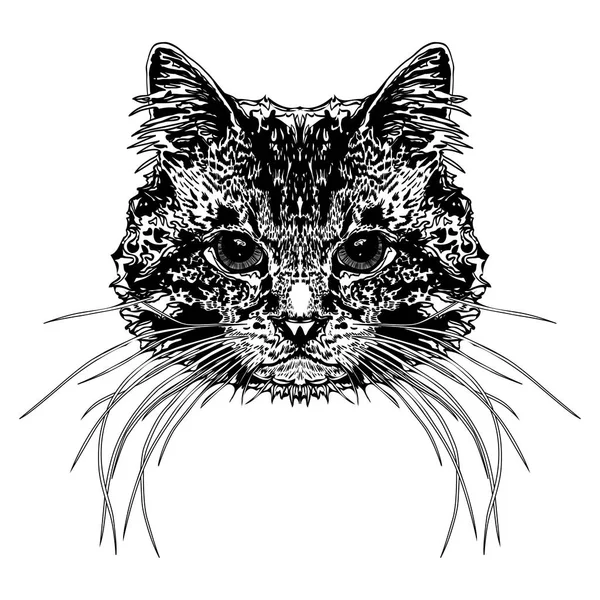 Kattens huvud. Stiliserad vektorillustration — Stock vektor