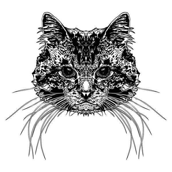 Kedinin kafasına. Stilize vektör çizim