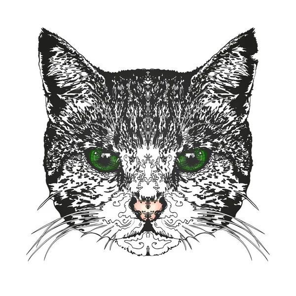 Kedinin kafasına. Vektör çizim.