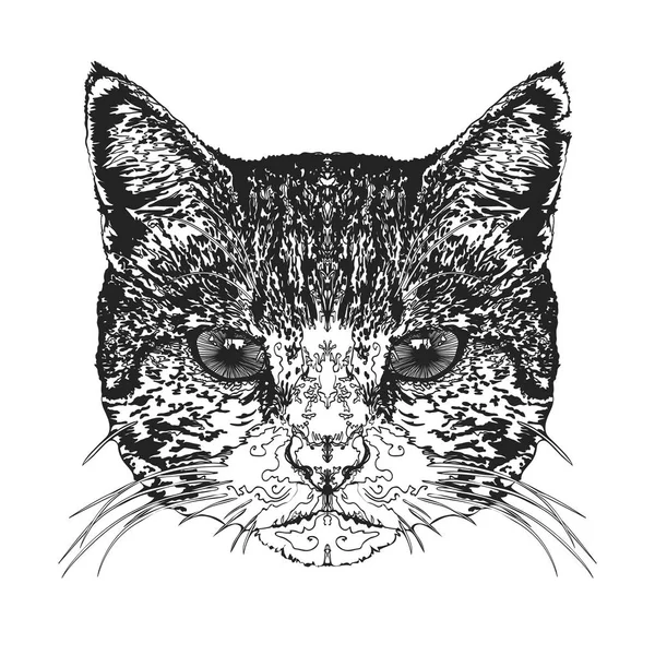猫の頭。ベクトル図. — ストックベクタ