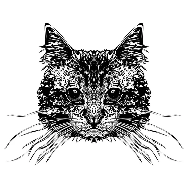 Kedinin kafasına. Stilize vektör çizim