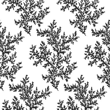 Dikişsiz desen hangi dal