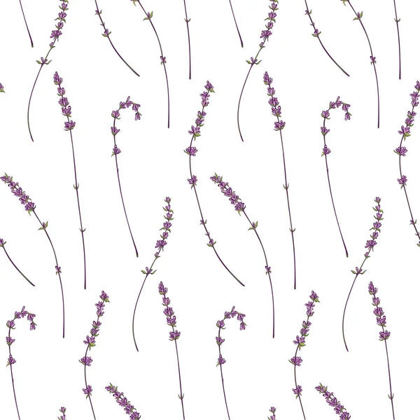 Lavanta Dikişsiz desen