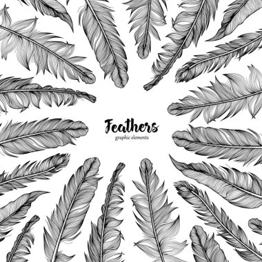 El çerçeve tüylü beyaz zemin üzerine çekilmiş.