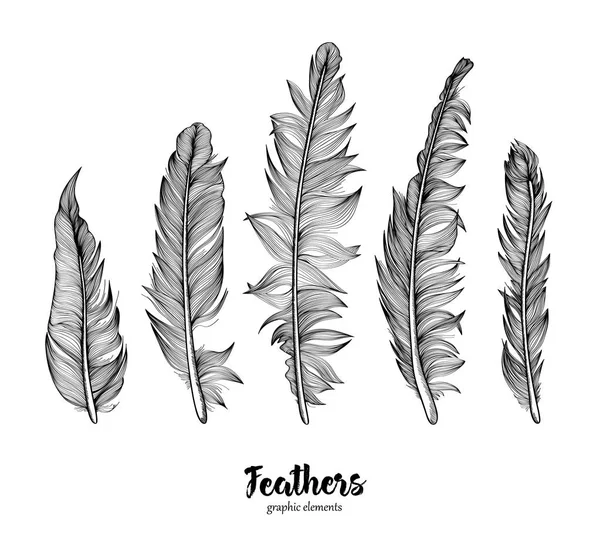 Beyaz arkaplanda el çizimi tüyler