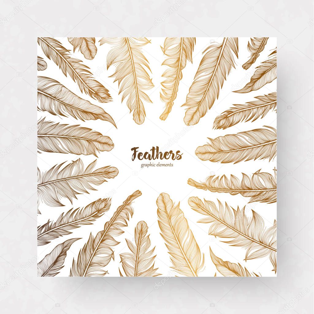 Vector design template with gold feathers for invitations, wedding greeting cards, certificate, labels