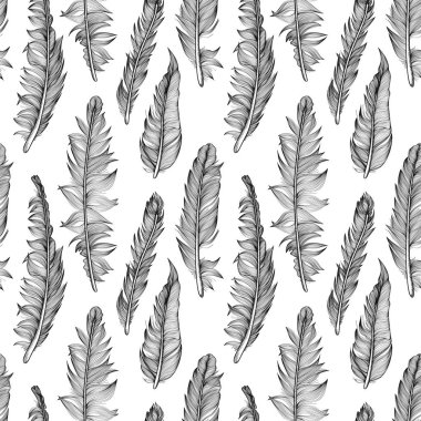 Grafik ayrıntılı tüyler ile Seamless modeli. Duvar kağıdı, basılı ürünler ve tekstil tasarımı için doku tasarım.