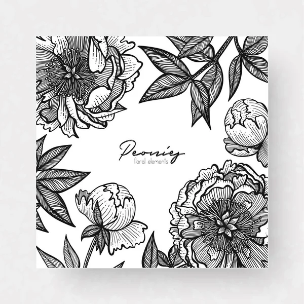 Graphic detailed cards with peony and leaves. Linear vector leaves for your design greeting cards, postcards, flyer, packing, invitations and background. — Stock Vector