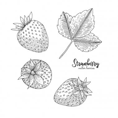 Beyaz arka plan üzerinde izole straweberry elle çizilmiş Illustration. Meyveleri basık stil illüstrasyon. Detaylı Vejetaryen yiyecekler. Geçerli menü, el ilanı, etiket, poster, baskı, ambalaj için.