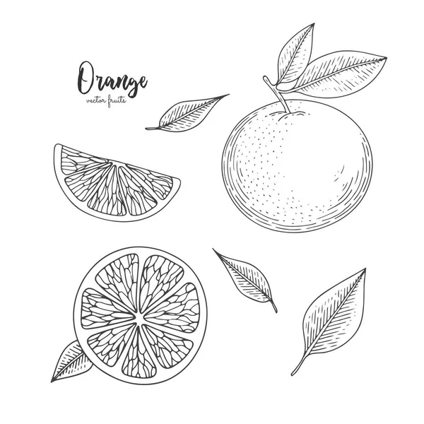 Ilustración de naranja en estilo grabado. Diseño para paquete de productos naturales de salud y belleza. Ideal para etiquetas, carteles, diseño de envases . — Vector de stock
